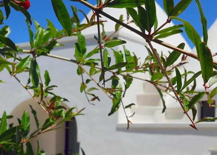 Il Trullo Bianco Molillo * Ostuni