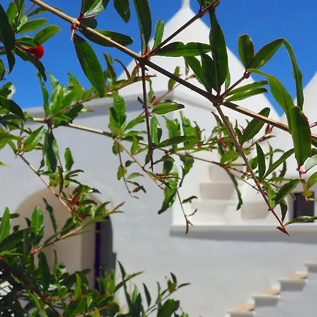 Il Trullo Bianco Molillo * Ostuni